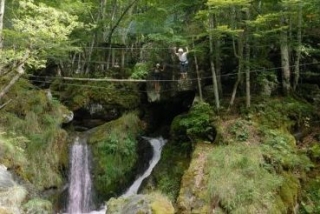 Recorrido entre árboles y rocas